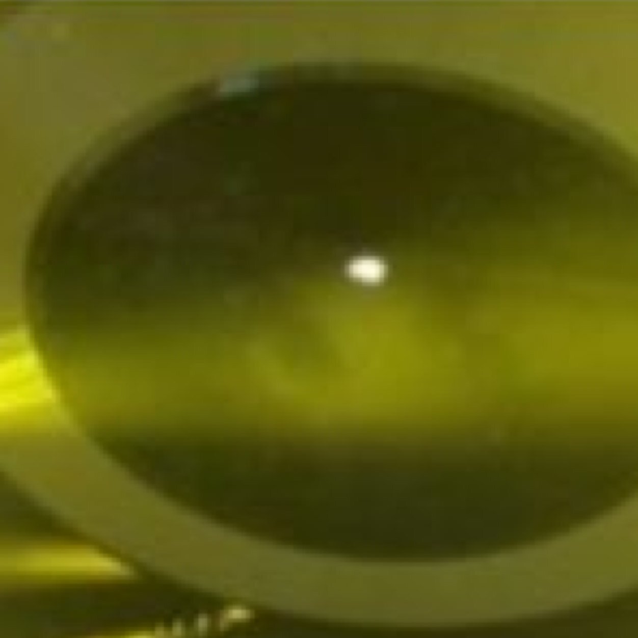 MSmmskd's profile picture. 