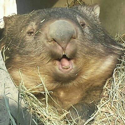 ぺっこのプロフィール写真