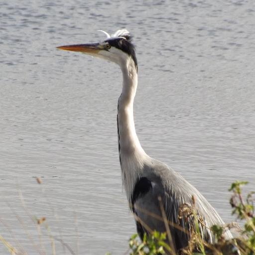 david_cranmer's profile picture. 