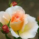 saroj shah - @sarojshah13 - Twitter