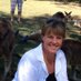 Jackie Sturt (@jackie_sturt) Twitter profile photo Jackie Sturt (@jackie_sturt) Twitter profile photo