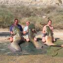 dylan hibbert - @drareh - Twitter