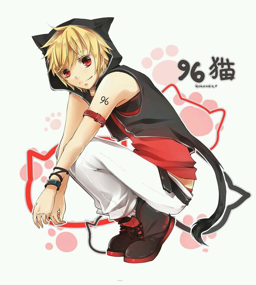 ぬこ様✩さんのプロフィール画像
