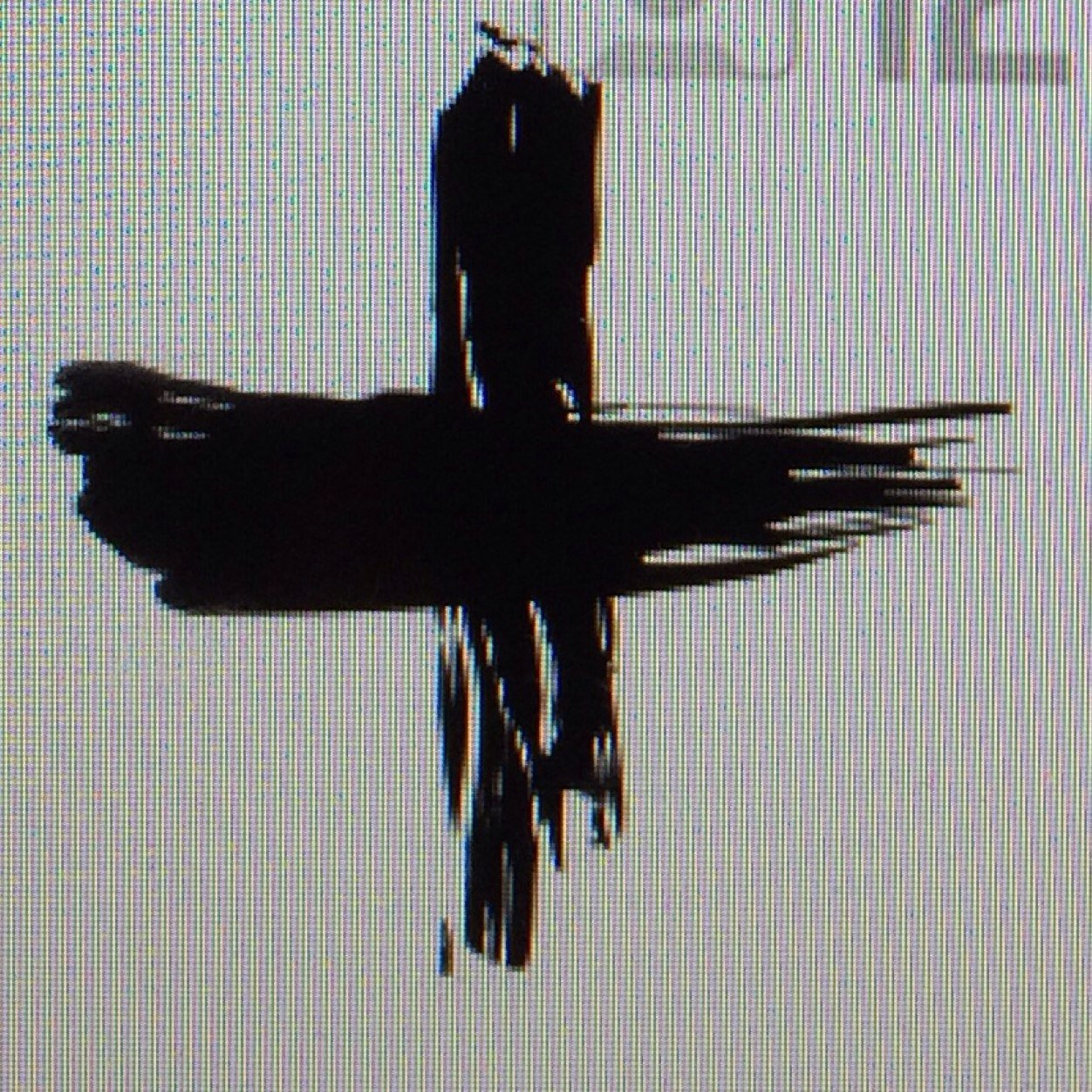 Guardangel10's profile picture. Entre pinto y valdemoro, en la cuerda floja, en el canto de un duro, entre los codos y las rodillas... Ahí está la felicidad!!