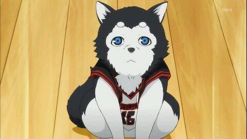 アニメ大好き キモいと思ったやつはキモい      正直にいう関わりないやつでも