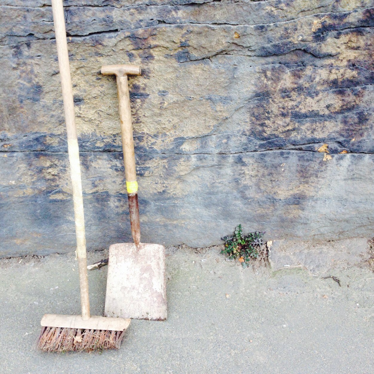 CalverleyBloom's profile picture. 