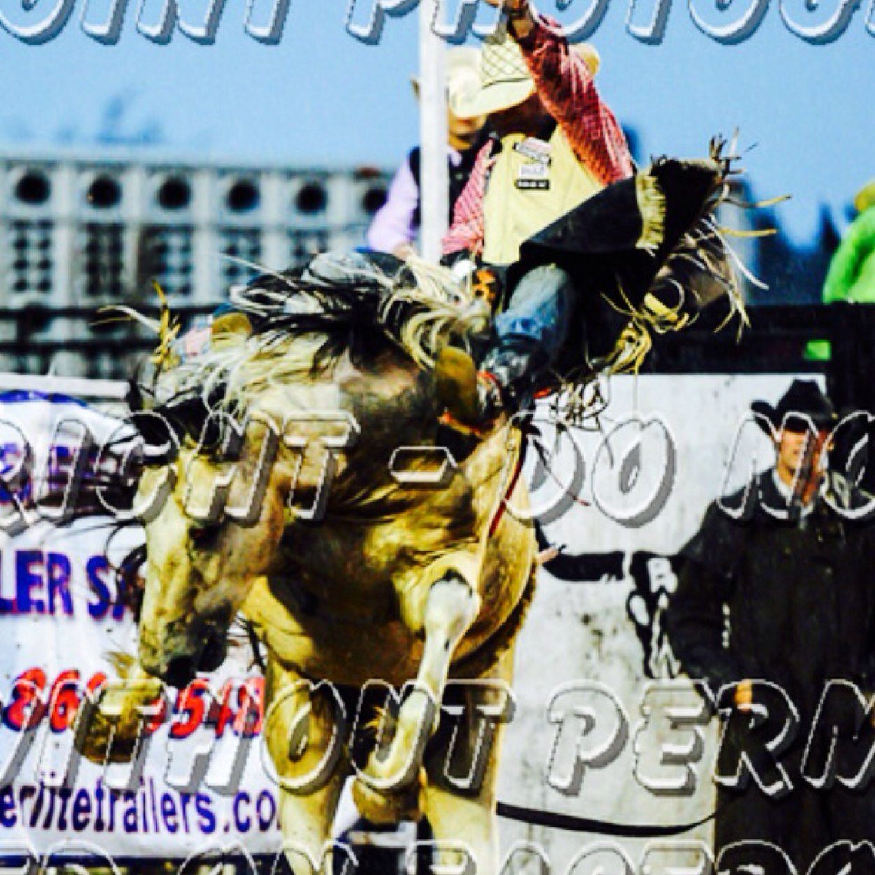 Im justin bolander also known as Fuzzy i love riding bulls and rodeo! Love my life as a rodeo man!