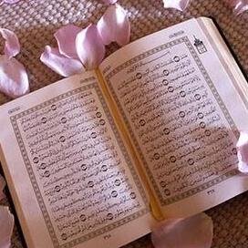 انشر الخير تجد الخير