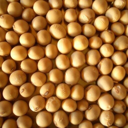 できるだけ自然に！神奈川県の津久井で農業をしてます。肥料に頼らず農薬を使わないで野菜や大豆を栽培しています。