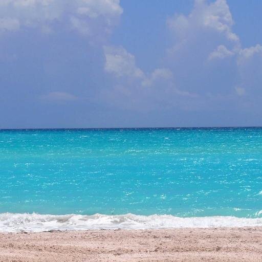 adexec01's profile picture. 