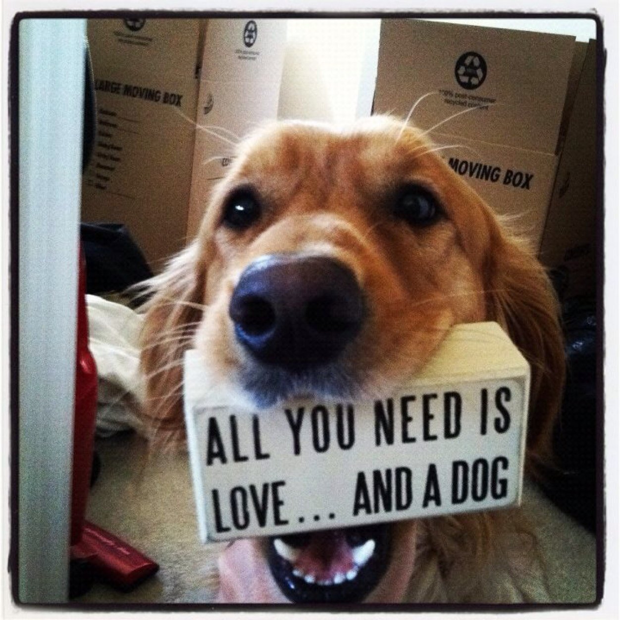 jujuatwin's profile picture. 