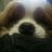 Bogartofbolly's profile image
