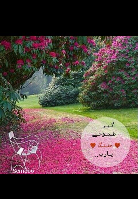 ®©®©®©