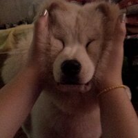 marielle wayne | BB 🐰 (@mariellewayn) Twitter profile photo