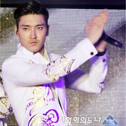 I Love Siwon