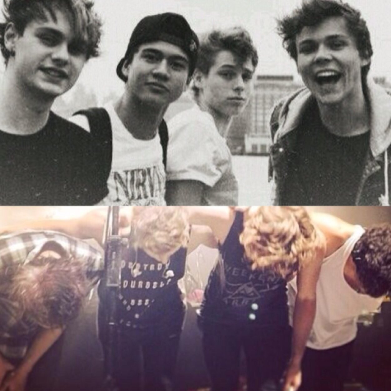 • You've recieved this free follow from @scenecliffordd so please go follow her •
