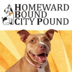 Along with providing a safe environment at our shelter, our dedicated staff offer tender loving care to all our animals.
HBCP is proud to be a no-kill facility