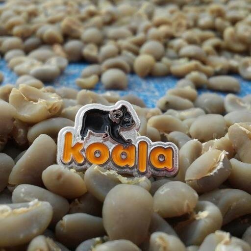 Coffee Koala