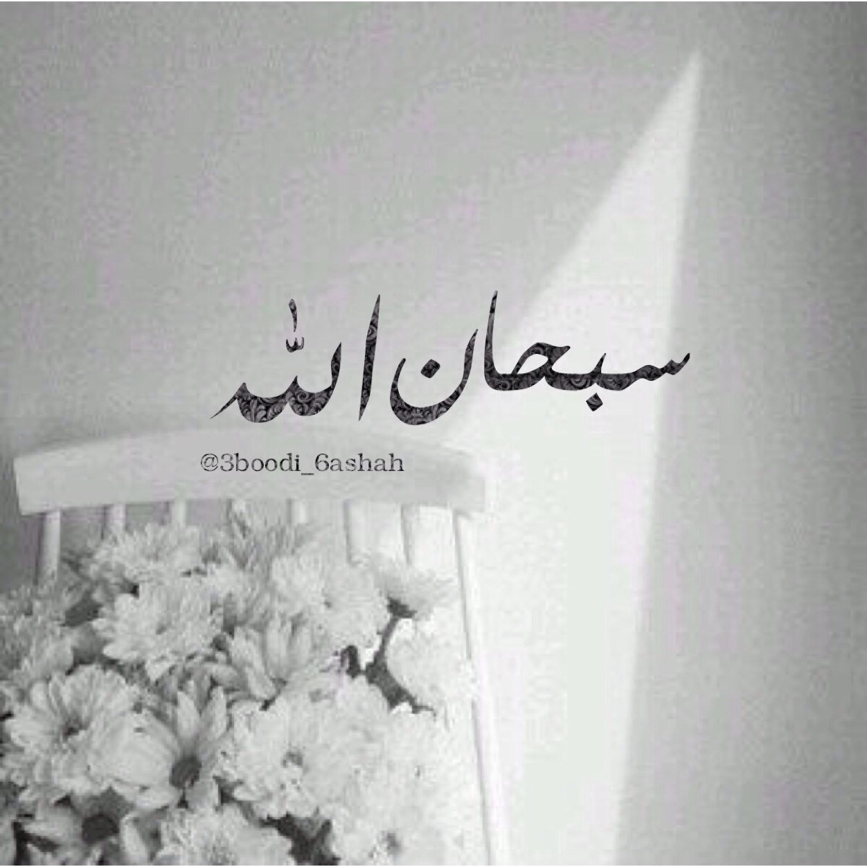 ‏وعشاني اححبك اتمنى يكون هذا الحساب شفيع لك يوم القيامه ‎@Reema_b2000