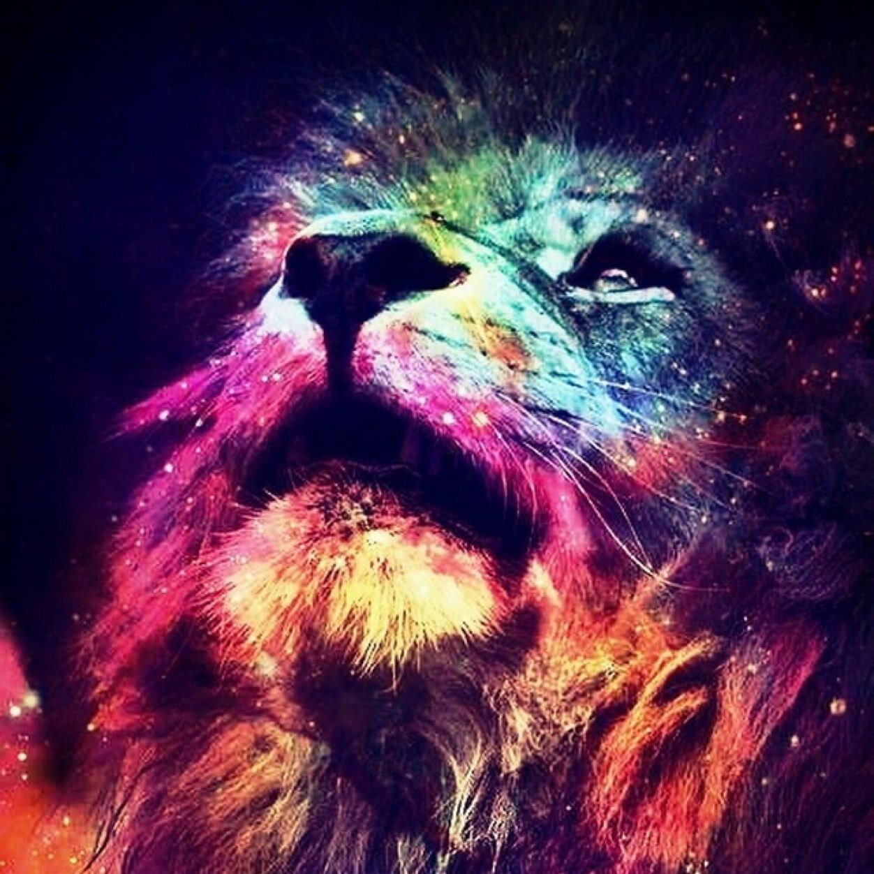 bagem8888's profile picture. 