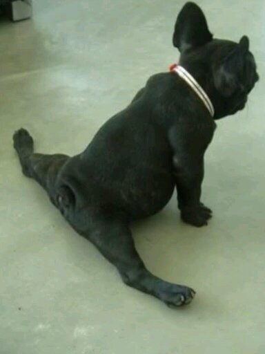 sassybugkym13's profile picture. hola!~ its Kym♡ I sing, drink and laugh best always classy never trashy just a lil bit sassy