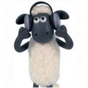 sheep (@0101reichel) Twitter