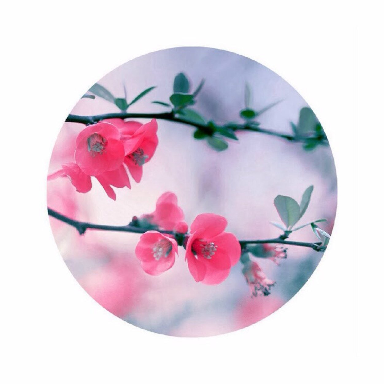 TeensQuotesPage's profile picture. Just a teenage quotes page about every day life.. Feel free to rt and fav quotes :-)