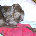 annette marie dodds - @doddzychique - Twitter