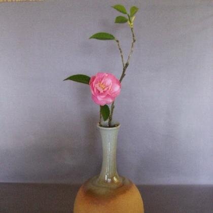 Introducing news and products about Ikebana.