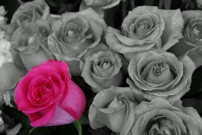 um_reem09's profile picture. ‏‏‏الحمَدللہ الذَي جعلنآ نعجزَ عن معرفة المسَتقبل ليكونَ دائمآ لدينآ أمل أنَ غدااً أجمَل ♡