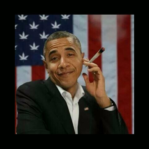 Fashion swag champ/Footballer/Fifa 13 King/weed monster/Artist - entrepreneur lifestyle. Enjoy life its not forever.....