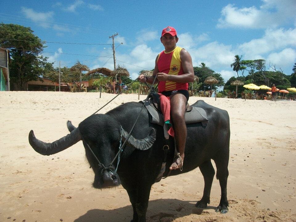 anivaldogv18's profile picture. 