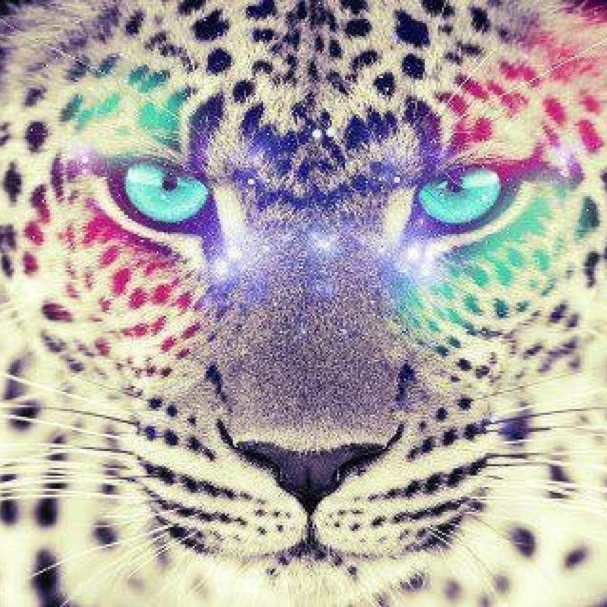 LISTAS PARA ZOOLÓGICO CLUB MADRID AQUÍ! Facebook: Piluca Zoológico