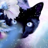 MoonFang (@_moon_fang_) 's Twitter Profile