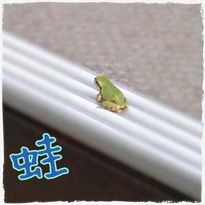あいうえお