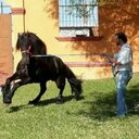 Gilberto Marroquin  - @TGilbertomt3 - Twitter