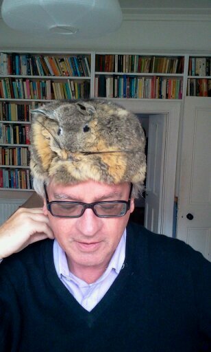 alaricevans's profile picture. Yes that one. How many Alarics do you know anyway?