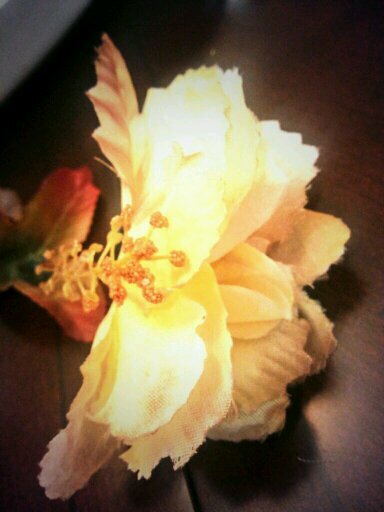 sucessfullygain's profile picture. 