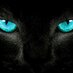 Mehmet Terso (@mehmetterso) Twitter profile photo Mehmet Terso (@mehmetterso) Twitter profile photo