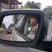 mariana1971's profile image