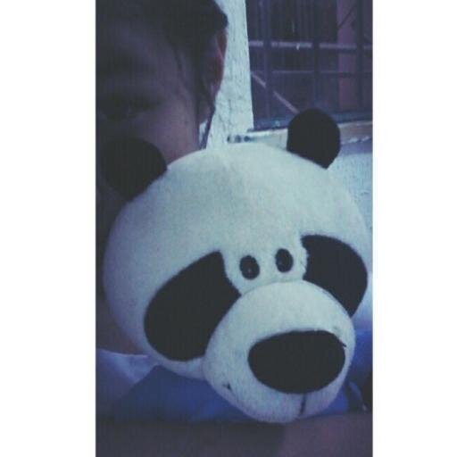 ♥ oi meus amores, sigo todos de volta obg e tchau ♥