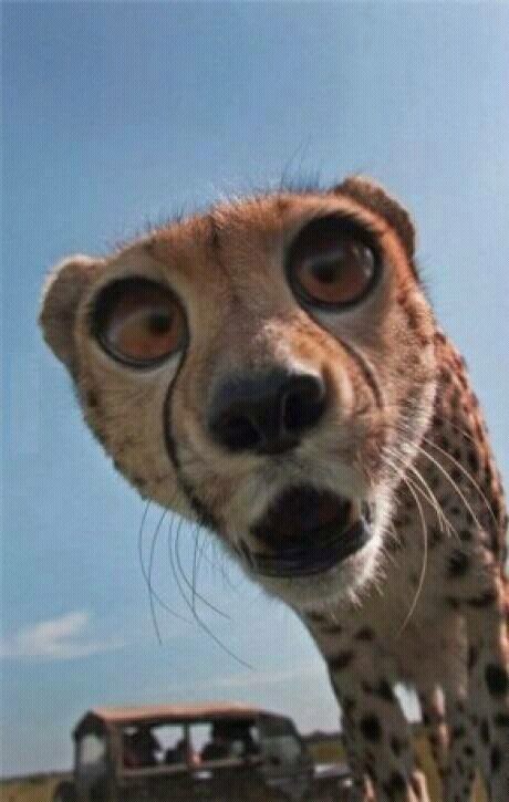 an ordinary person on here..