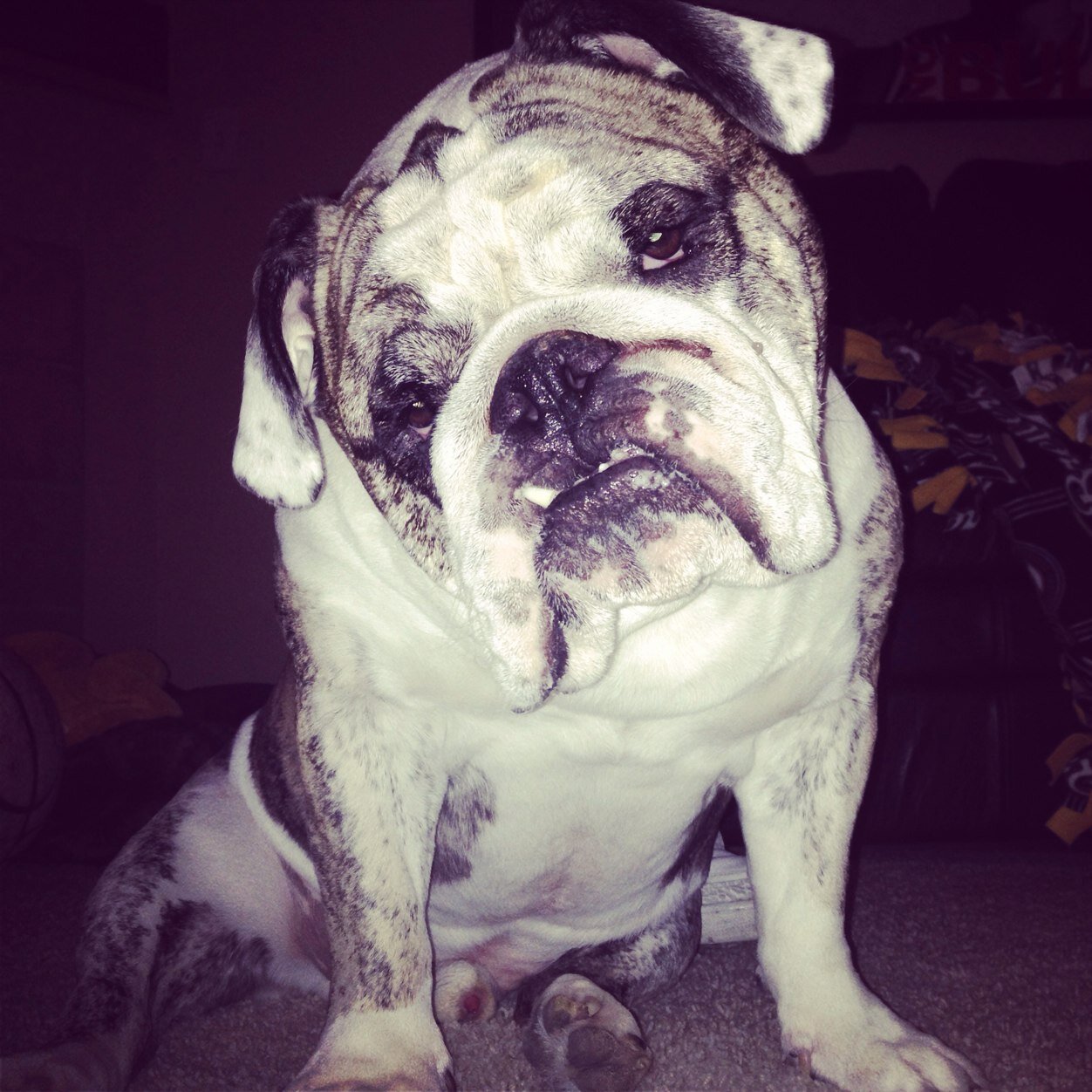 jonb1523's profile picture. 