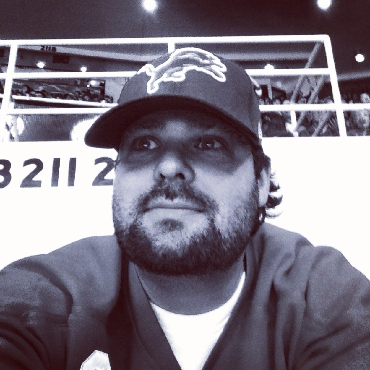 rothy79's profile picture. Can I please have a grilled cheese sandwich?