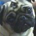 george benton (@george11517) Twitter profile photo george benton (@george11517) Twitter profile photo