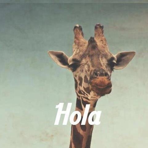 giraffeID_'s profile picture. Available ScrapFrame (15x15) 70 (20x20) 90 (20x30) 120 (30x30) 130 (30x40) 150 (40x40) 170 for order & more info •083842737147 •pin 21B75987 location : Semarang