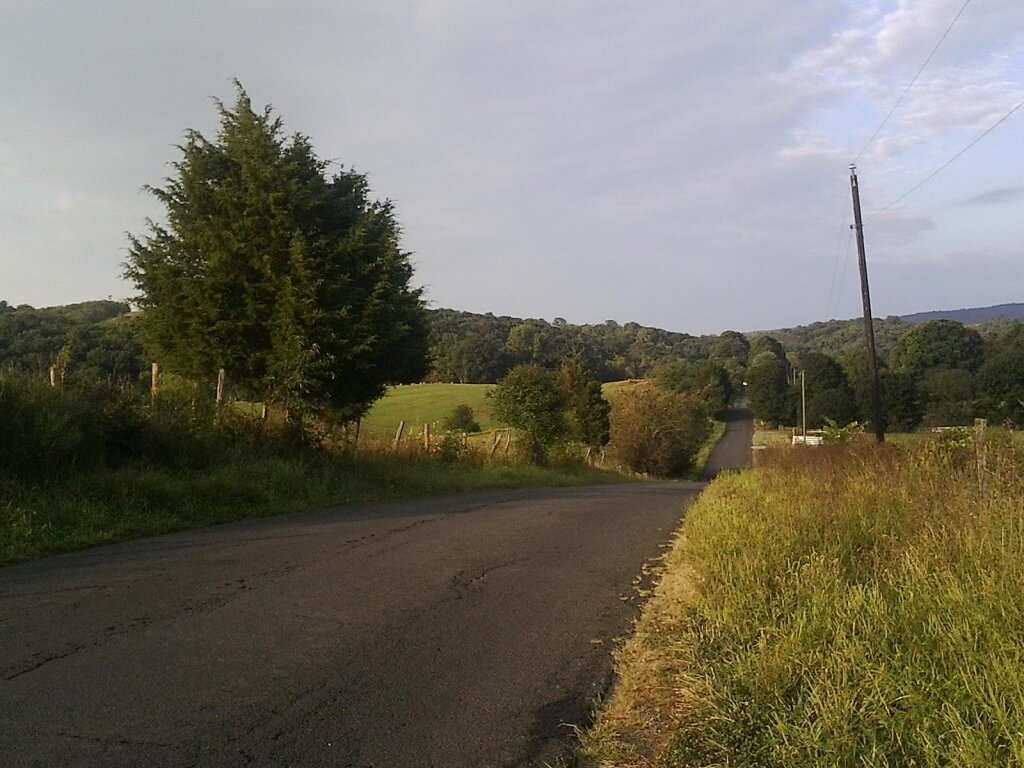 PiedmontJPF's profile picture. Quarterly literary journal featuring established and emerging poets & writers. 
Visit us online for submission guidelines.