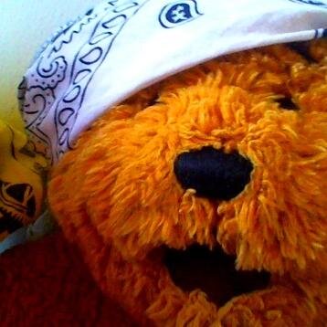 OfficialThe_Net's profile picture. I'm The Net. And follow @Real_The_Plot He's The Plot, not The Net