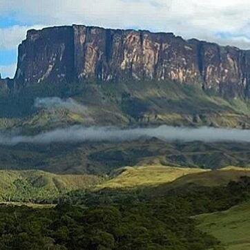 fitovictoria's profile picture. Docente, madre de dos