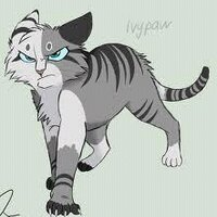 IvyStream (@ivystream) 's Twitter Profile